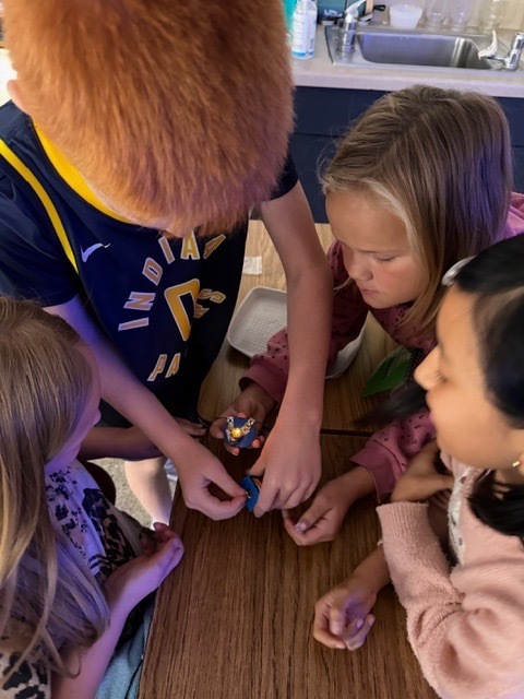 4th graders got the chance to bring working with circuits. Students have been learning about the different types of energy. Yesterday, they had the chance to start working with circuits. They had to make a closed circuit with 1 battery, 2 wires, and a light bulb!