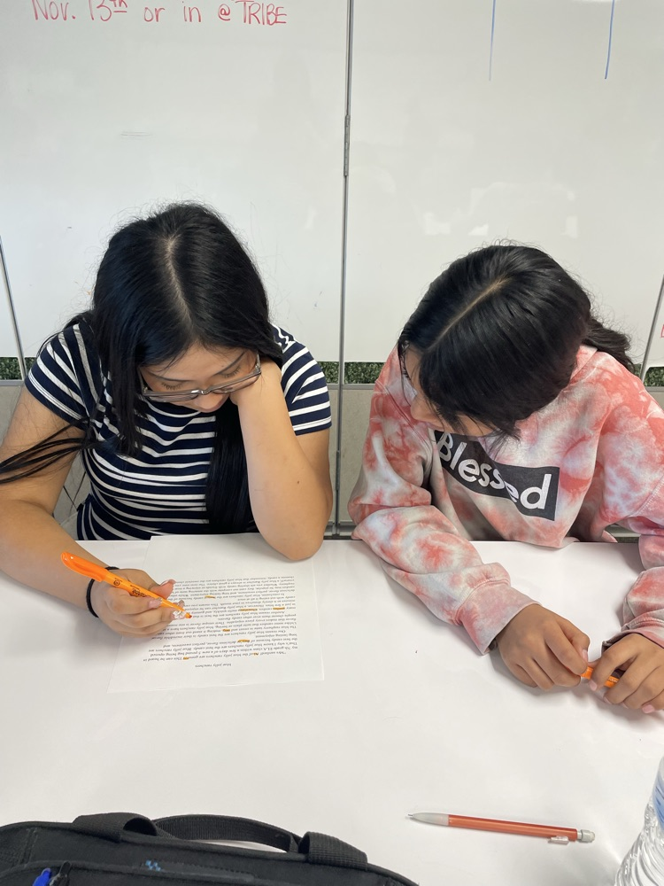 When 7th graders become the essay editors! Hunting for spelling, grammar, and punctuation mistakes like pros!