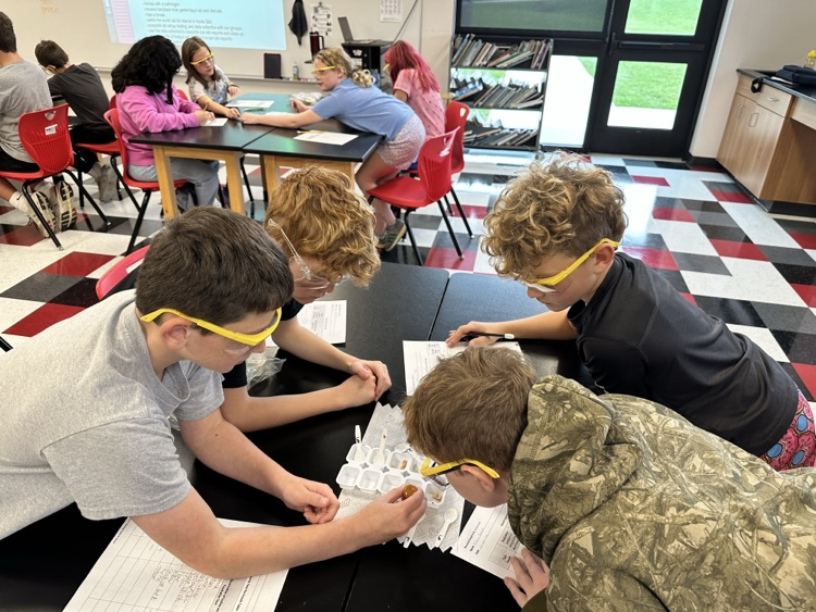 Take a look at 5th grade block 3 lab groups as they test foods for starch!