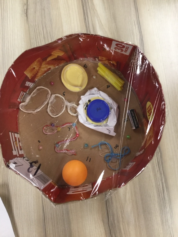 6th graders have been learning about cells. Students created 3D models of animal and plant cells! 