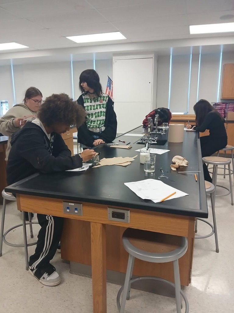 students working in Chemistry