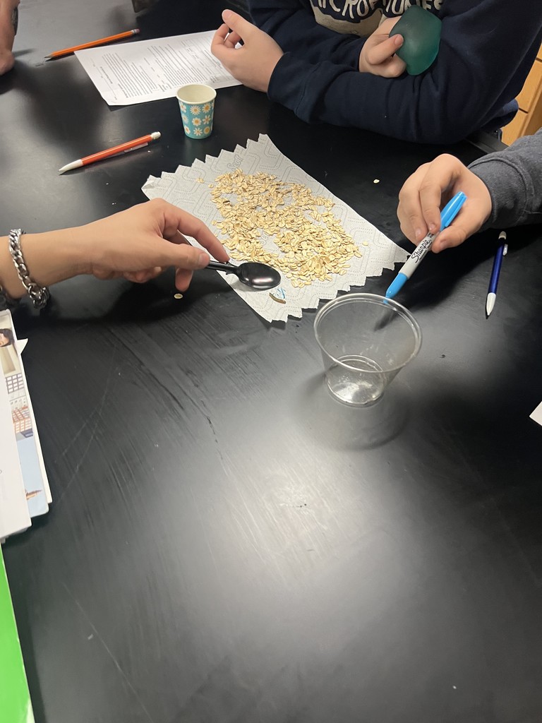 Students counting meal worms