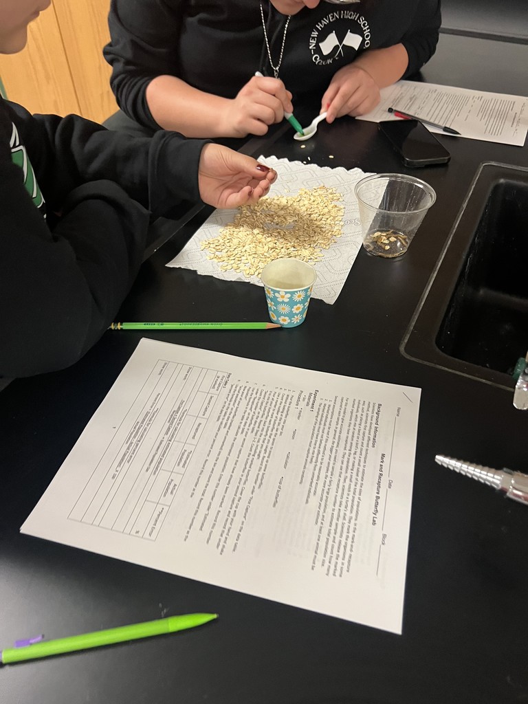Students counting meal worms