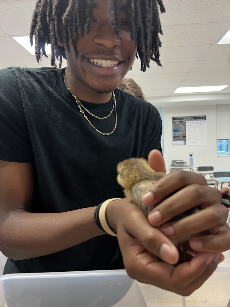 Student and chickens