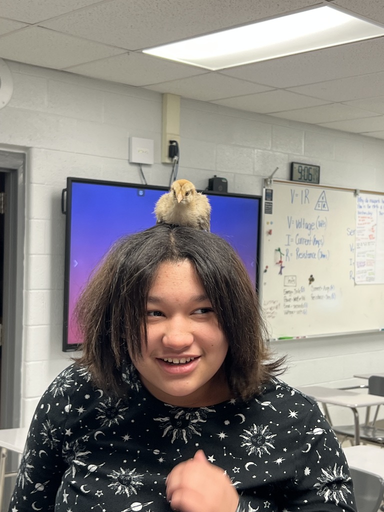 Student and chickens