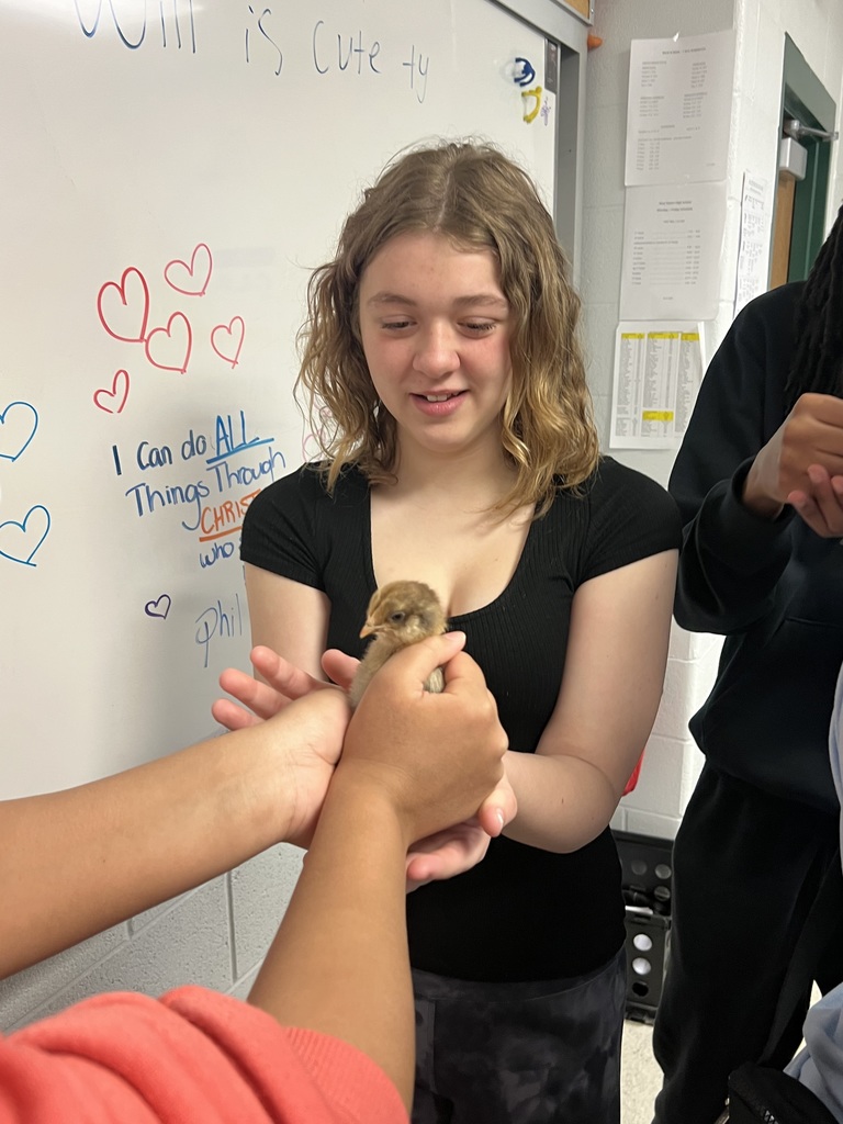Student and chickens