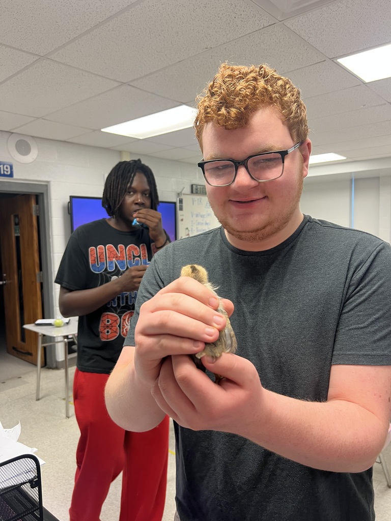 Student and chickens