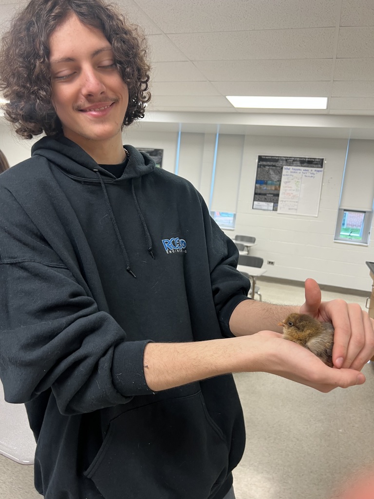 Student and chickens