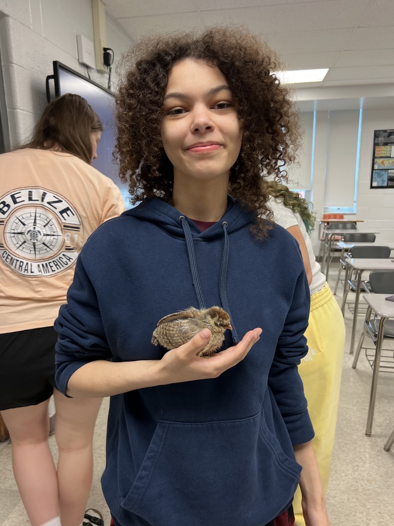 Student and chickens