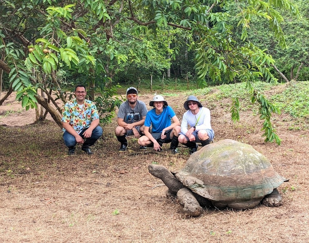 Island photo
