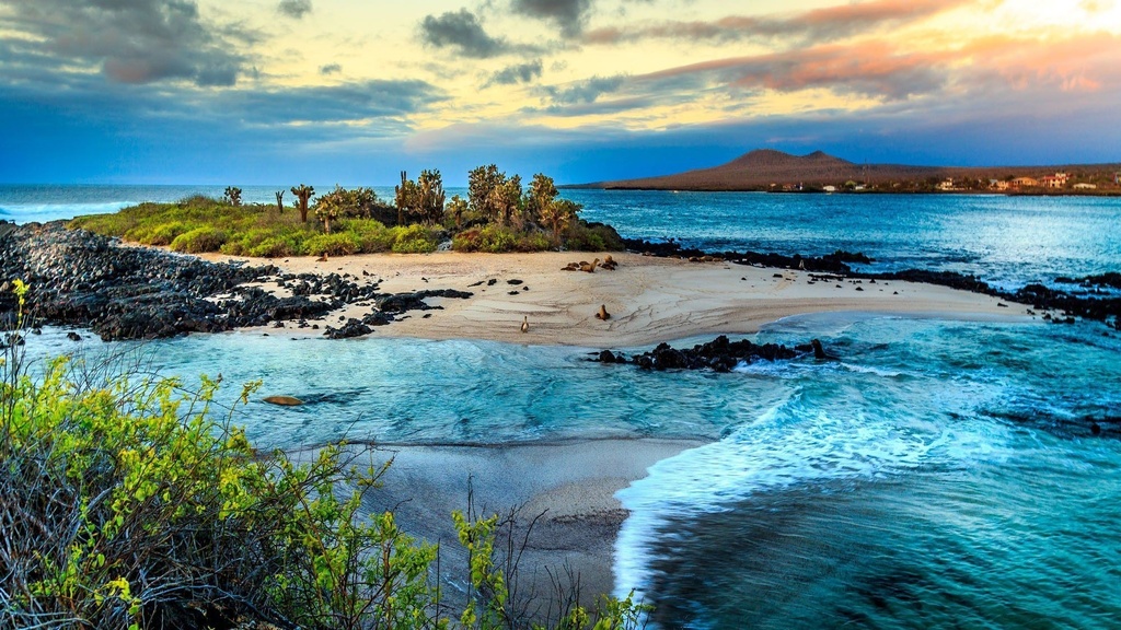 Island photo