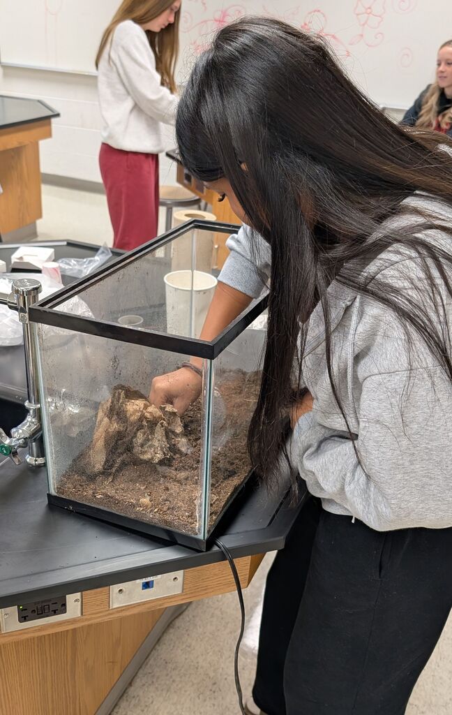 zoology students