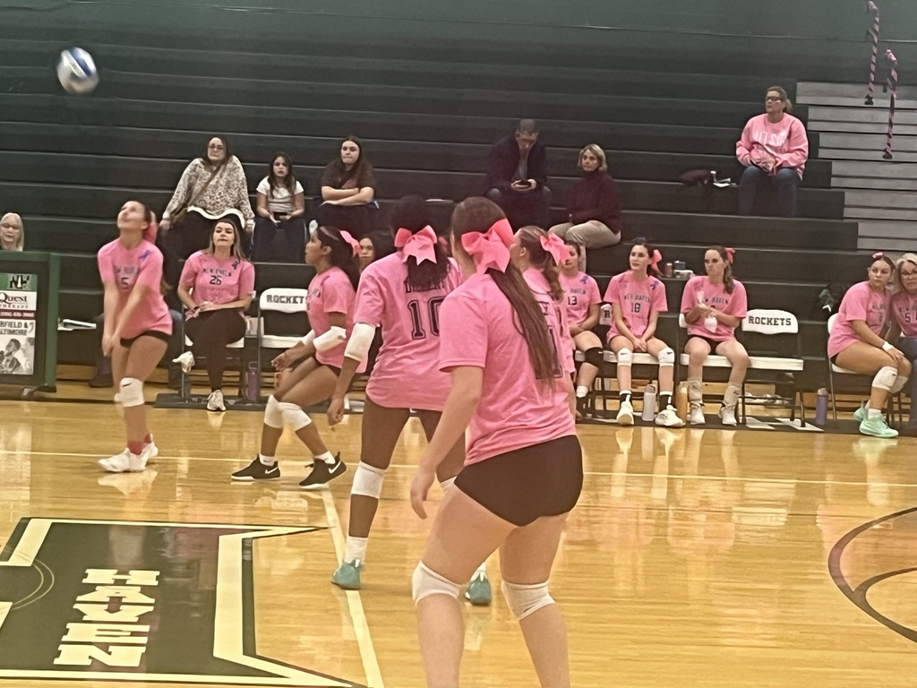 pink out game