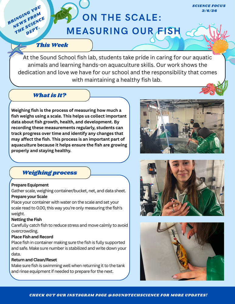 On the Scale Newsletter