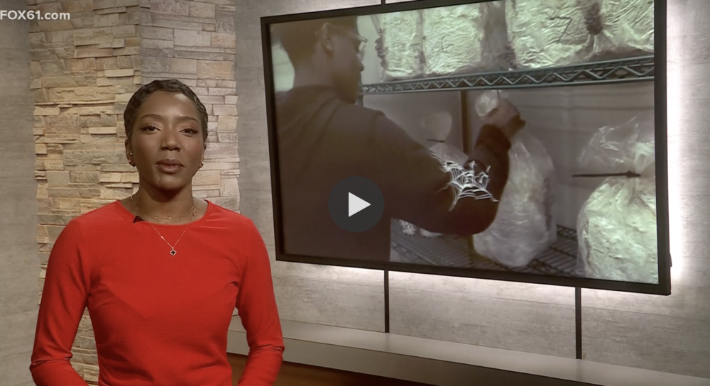 'Green Thumbs' program students at New Haven's High School in the Community grow and sell mushrooms