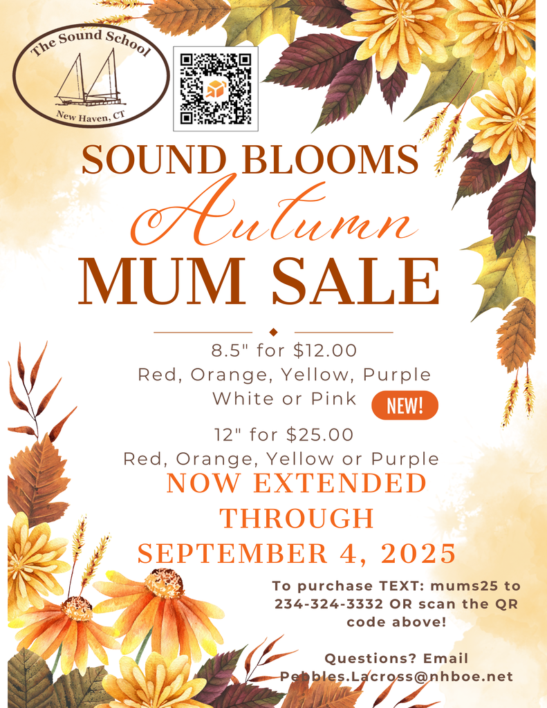 Autumn Mum Sale