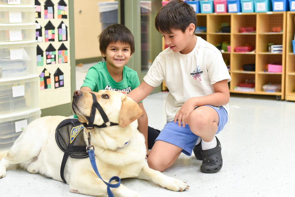 students petting sunny