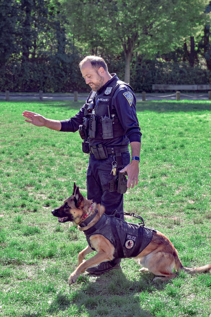 rocky waiting for the command to go