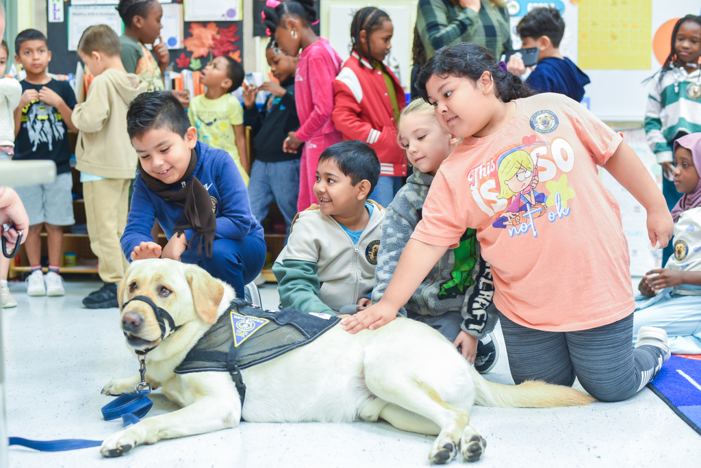 students petting sunny