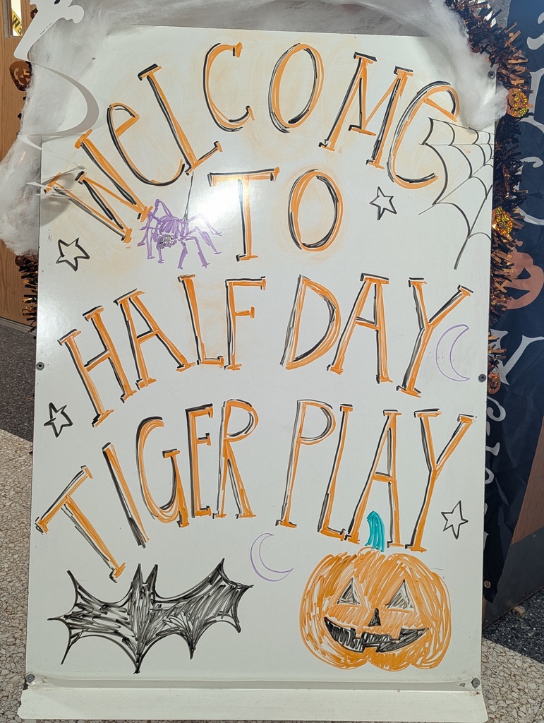 Half day - Tiger day
