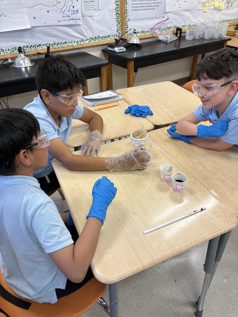 6C3DCDE3-5069-4F1C-B39B-D5541DADAD6C