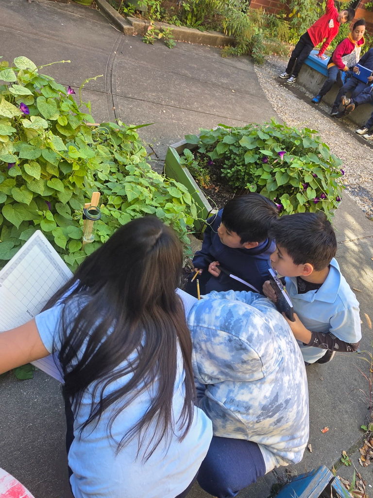 25D9FAEA-AE00-4D4C-8480-57F72754DFED