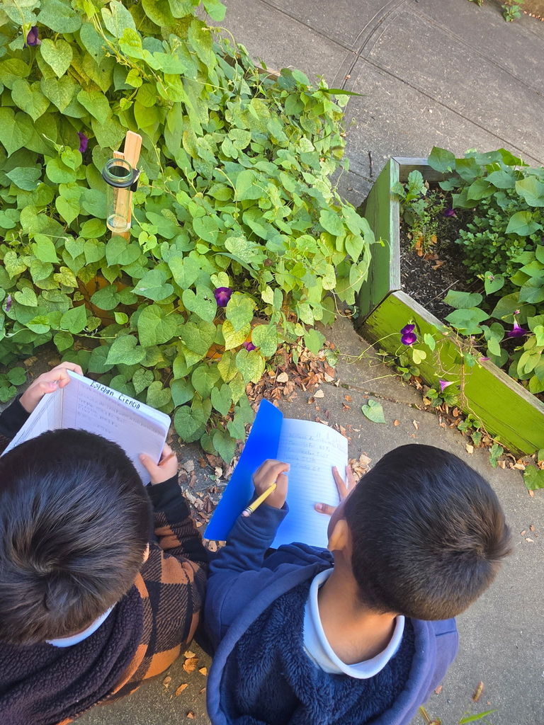 6F088057-5D9A-4FAC-844C-6D695FF3B4A3