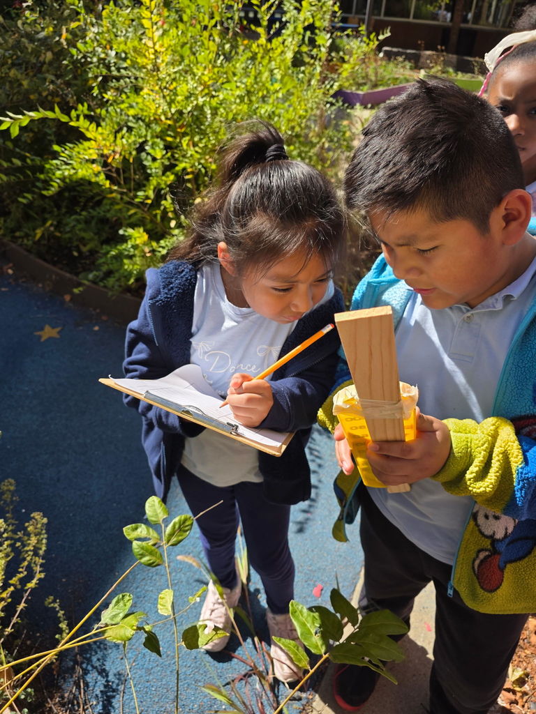 41EFAB62-93C7-4FDC-B3D4-A7943F7F4CAD