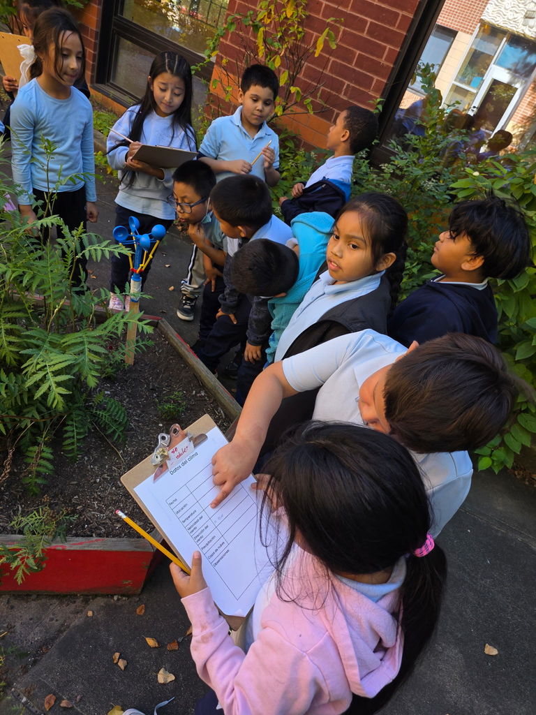 C73672B1-06D0-411F-B30F-4E9490FE18F1