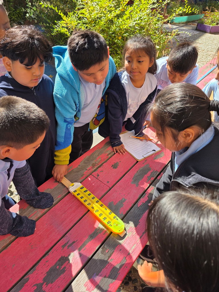 684A2D82-55CC-4EA7-B138-C48D520EDBD4