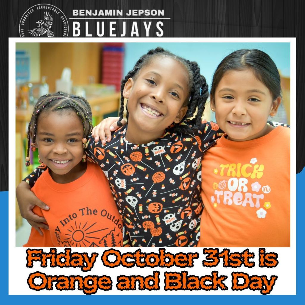 orange and black day