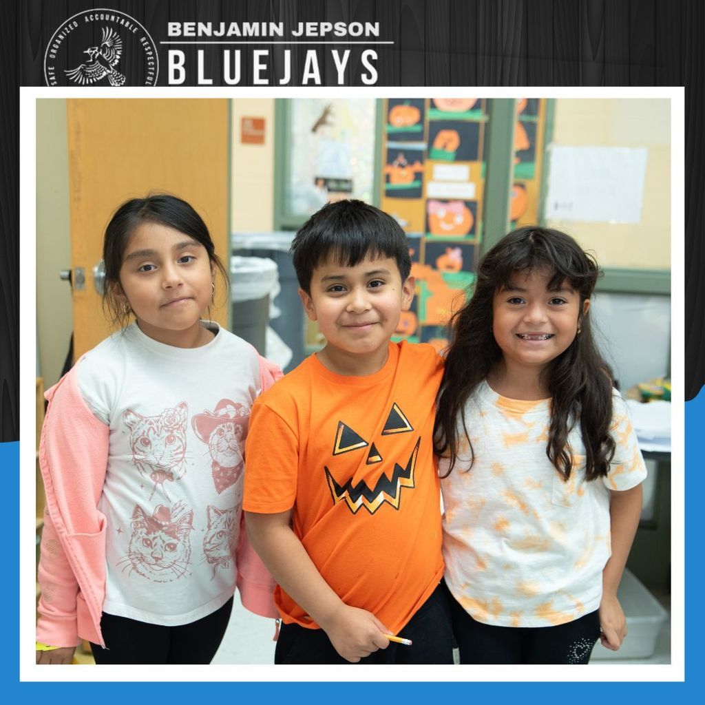 orange and black day