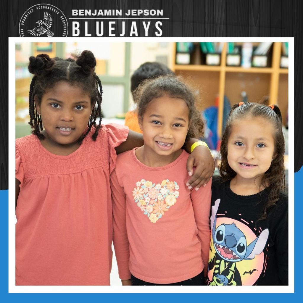 orange and black day