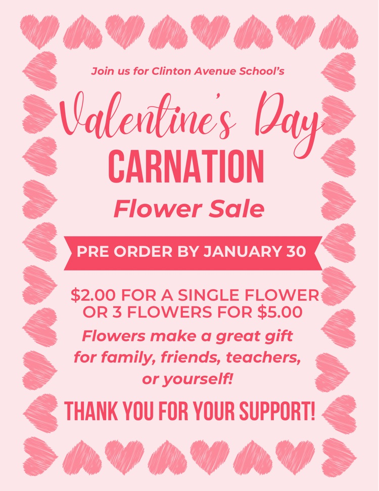 carnation