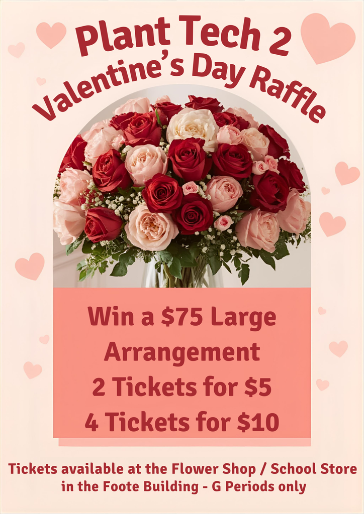 Valentine's Day Raffle