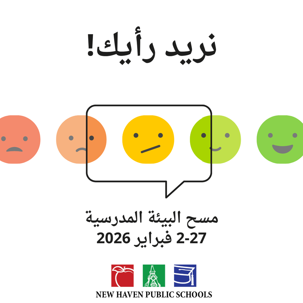 Feedback