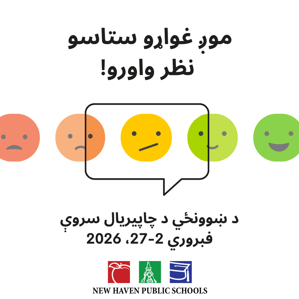 Feedback