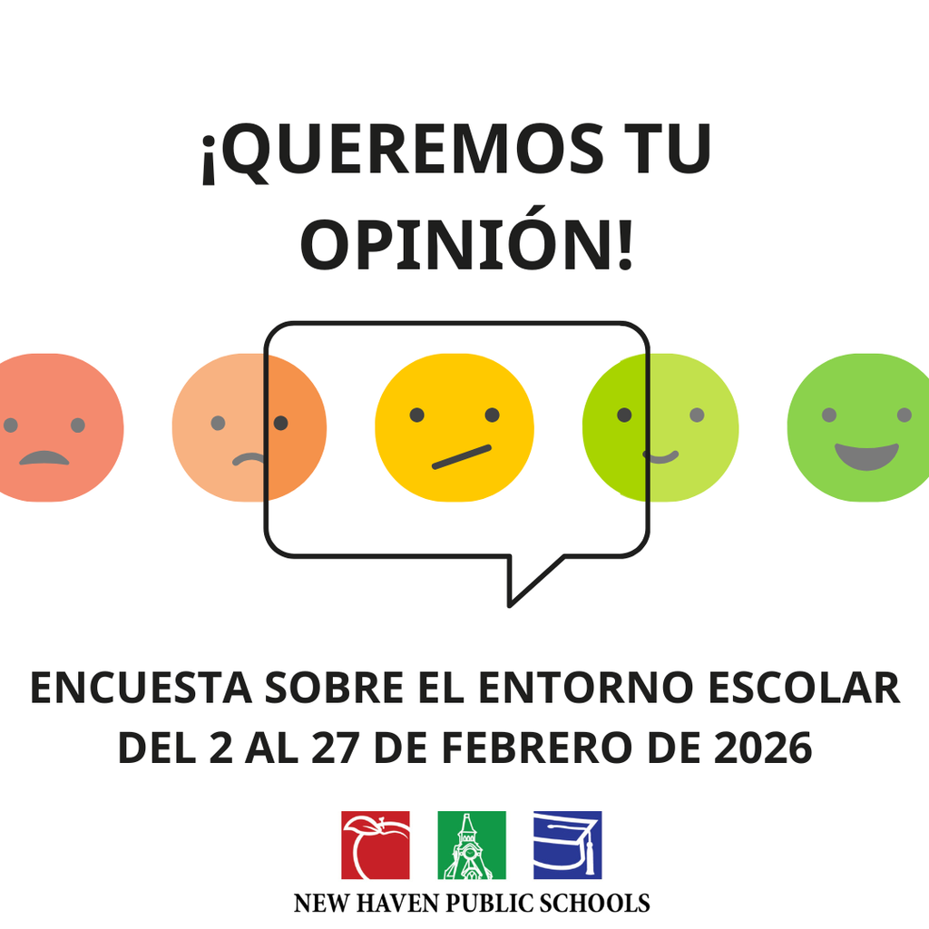 Feedback