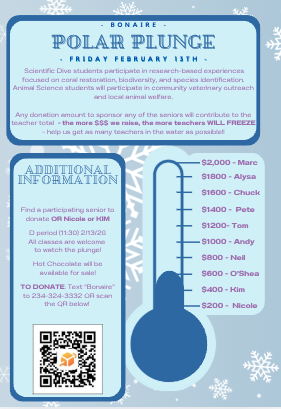 Polar Plunge Flyer 600