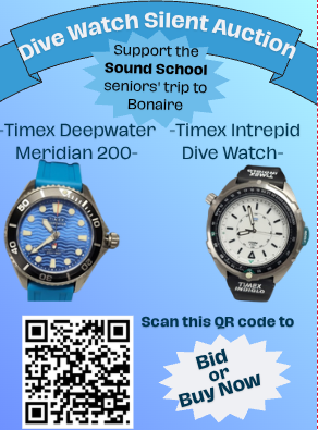 Dive Watch Auction