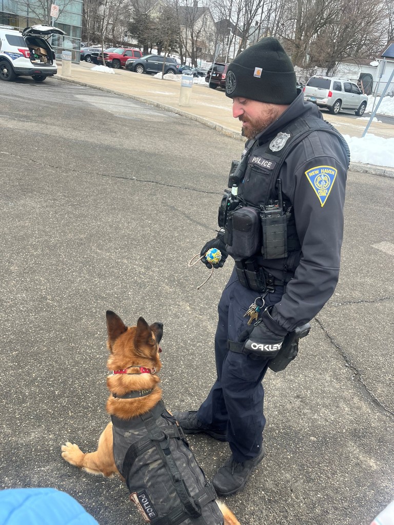 police dog
