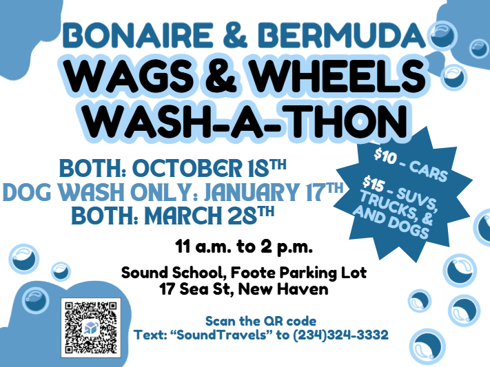 Wags & Wheels Wash-A-Thon Flyer