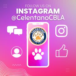 Follow Us on instagram!