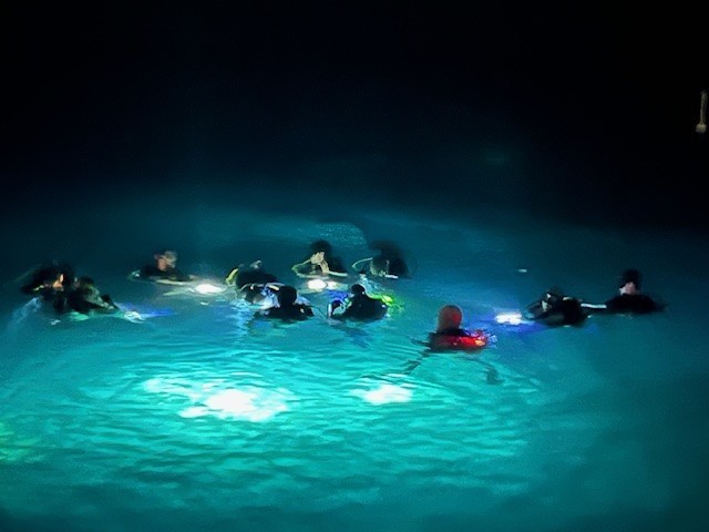 night swim