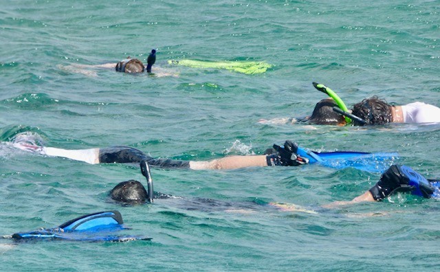 scuba