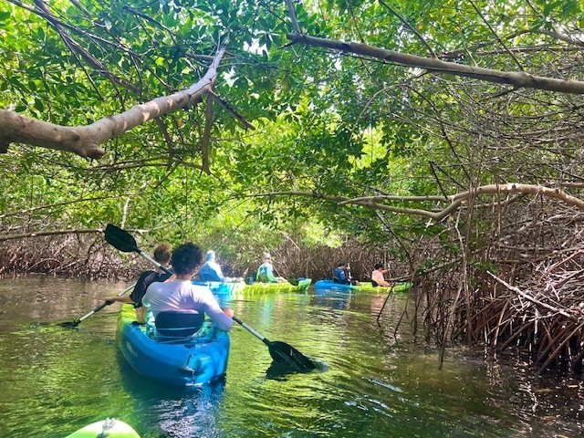 kayaks