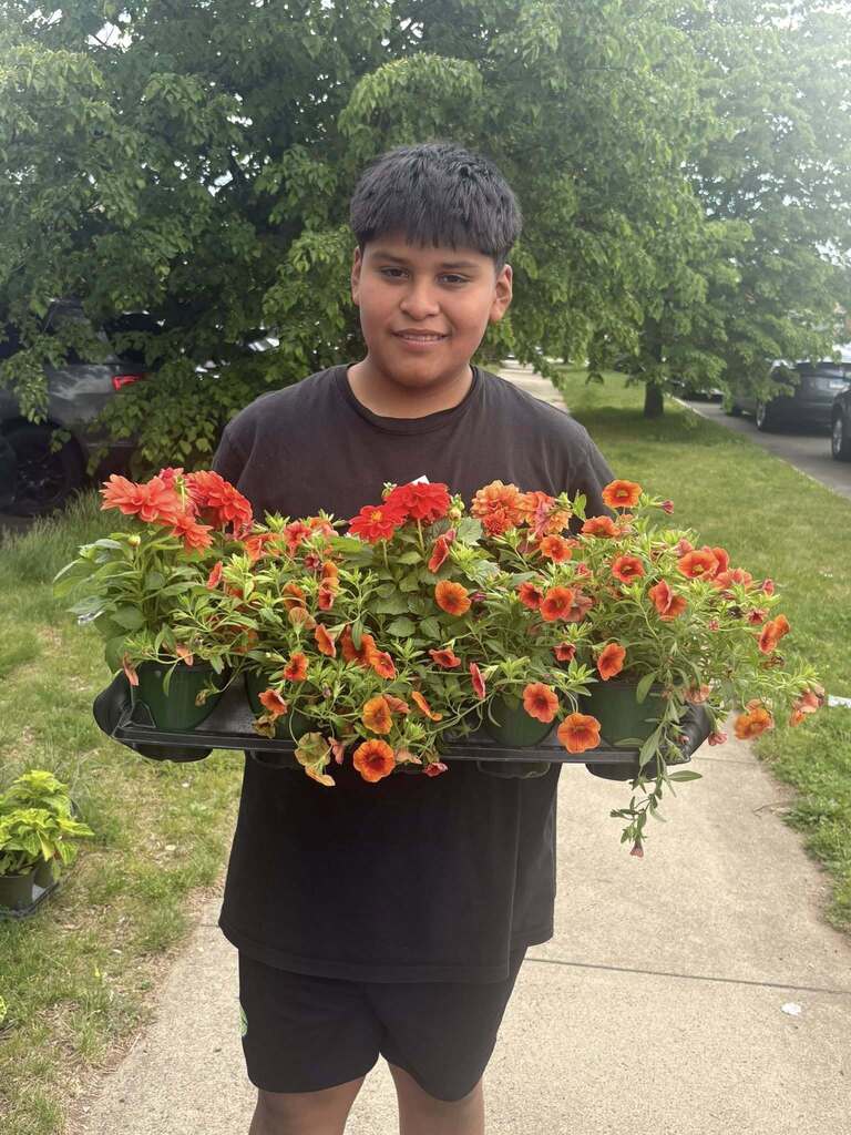 6