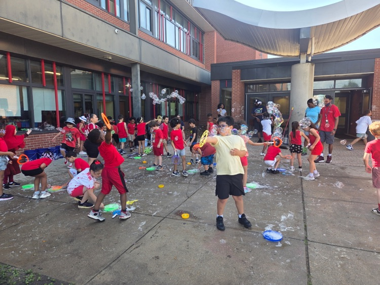 field day