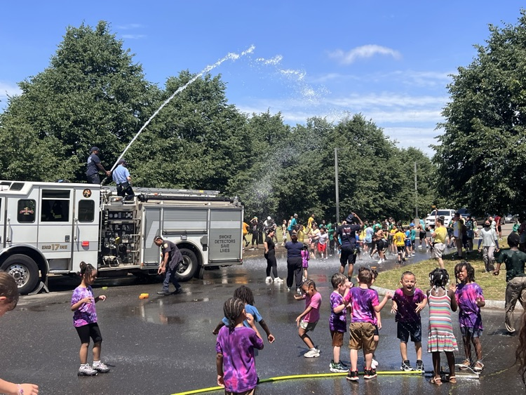 field day