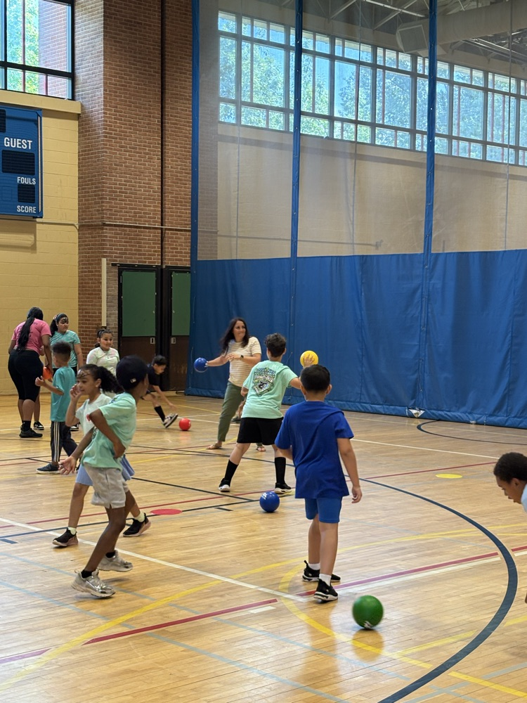 field day